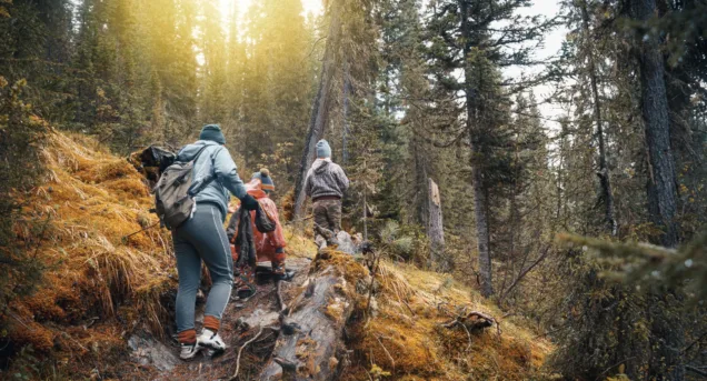 Hiking Header