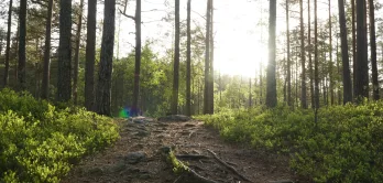 National Parks Tresticklan 2