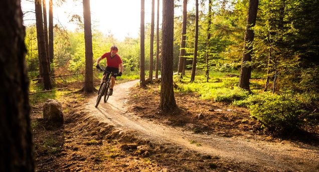 Biking Package 1