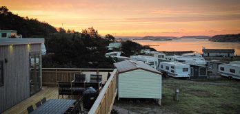 Saltviks Camping Header