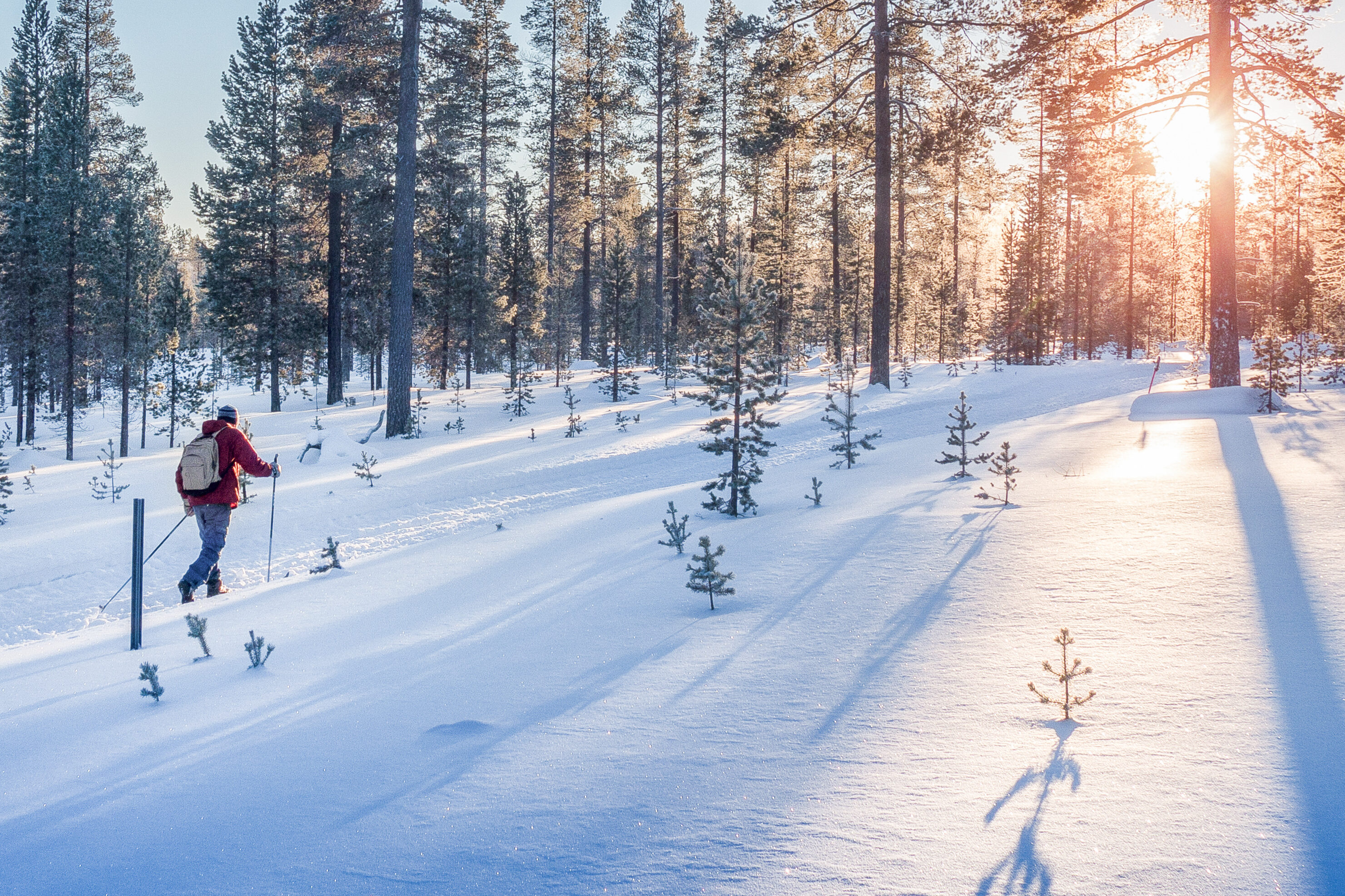 Winterurlaub in Schweden.