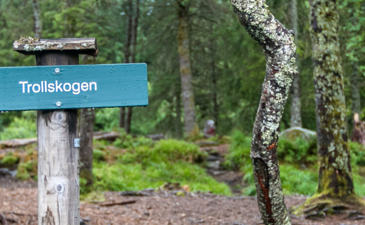 Trollwald auf Öland.