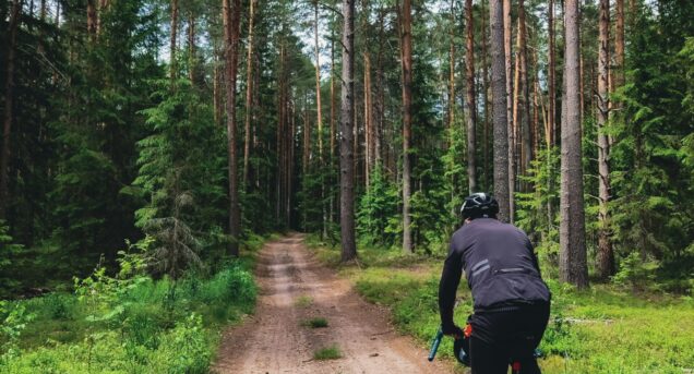 bikesweden2