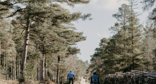 bikesweden4