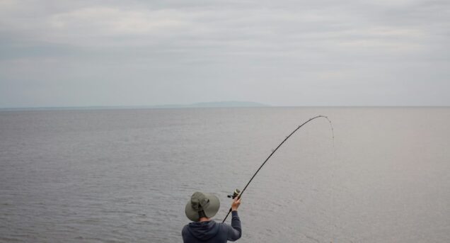 fishsweden4