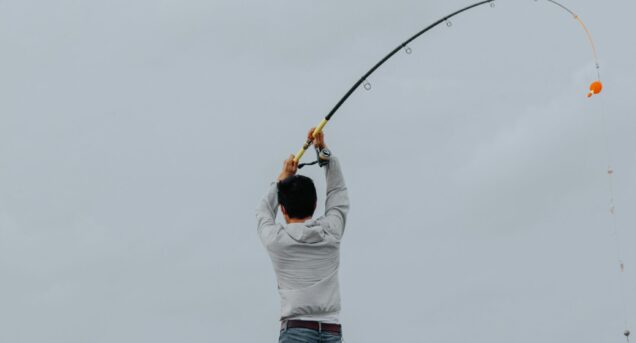 fishsweden5