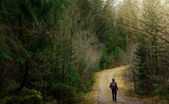hike2-sweden