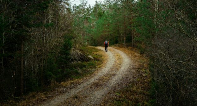 hike3-sweden