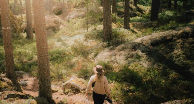 hikesweden4