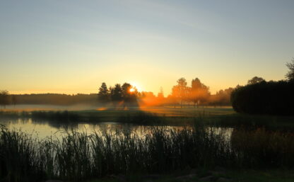 Misty landscape in the early morning at a golf course. Sun risning the east. Next to a small lake. Vallentuna, Stockholm, Sweden, Scandinavia, Europe.