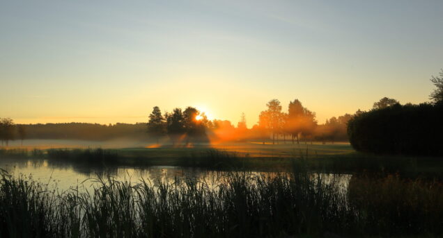 Misty landscape in the early morning at a golf course. Sun risning the east. Next to a small lake. Vallentuna, Stockholm, Sweden, Scandinavia, Europe.